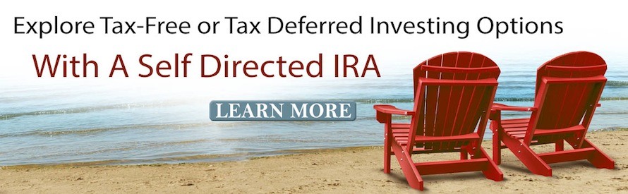 self directed ira stock options